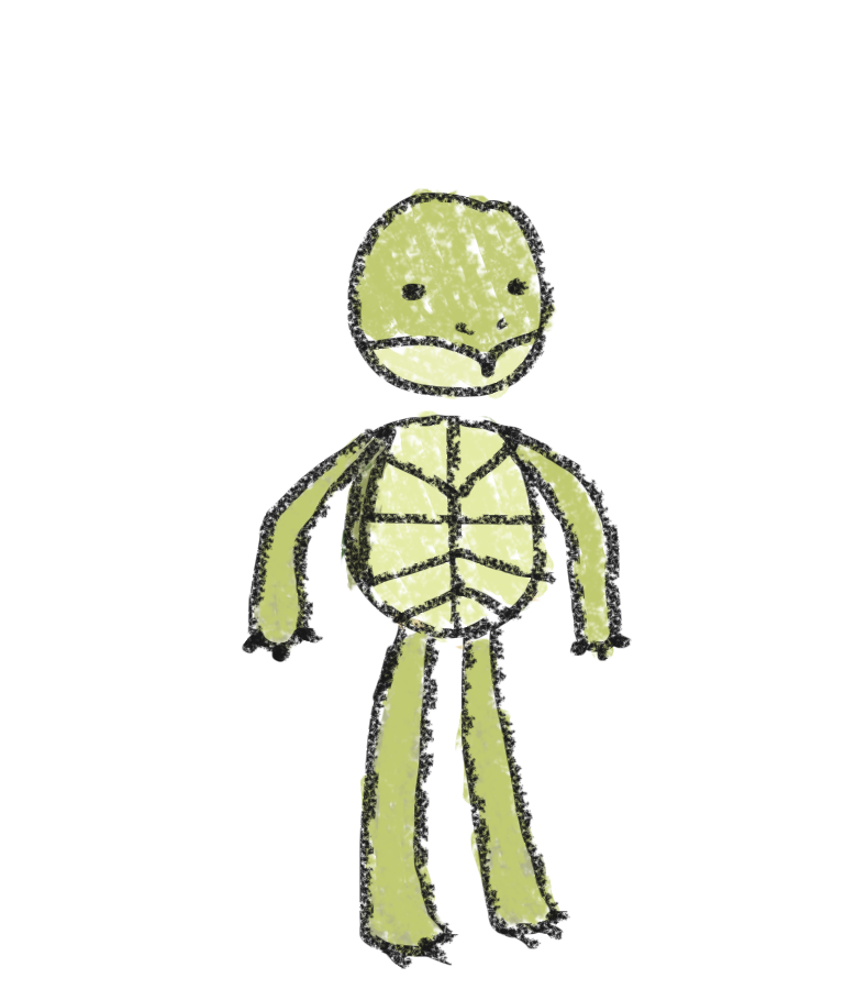 turtle